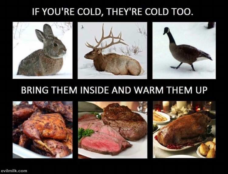 Too Cold