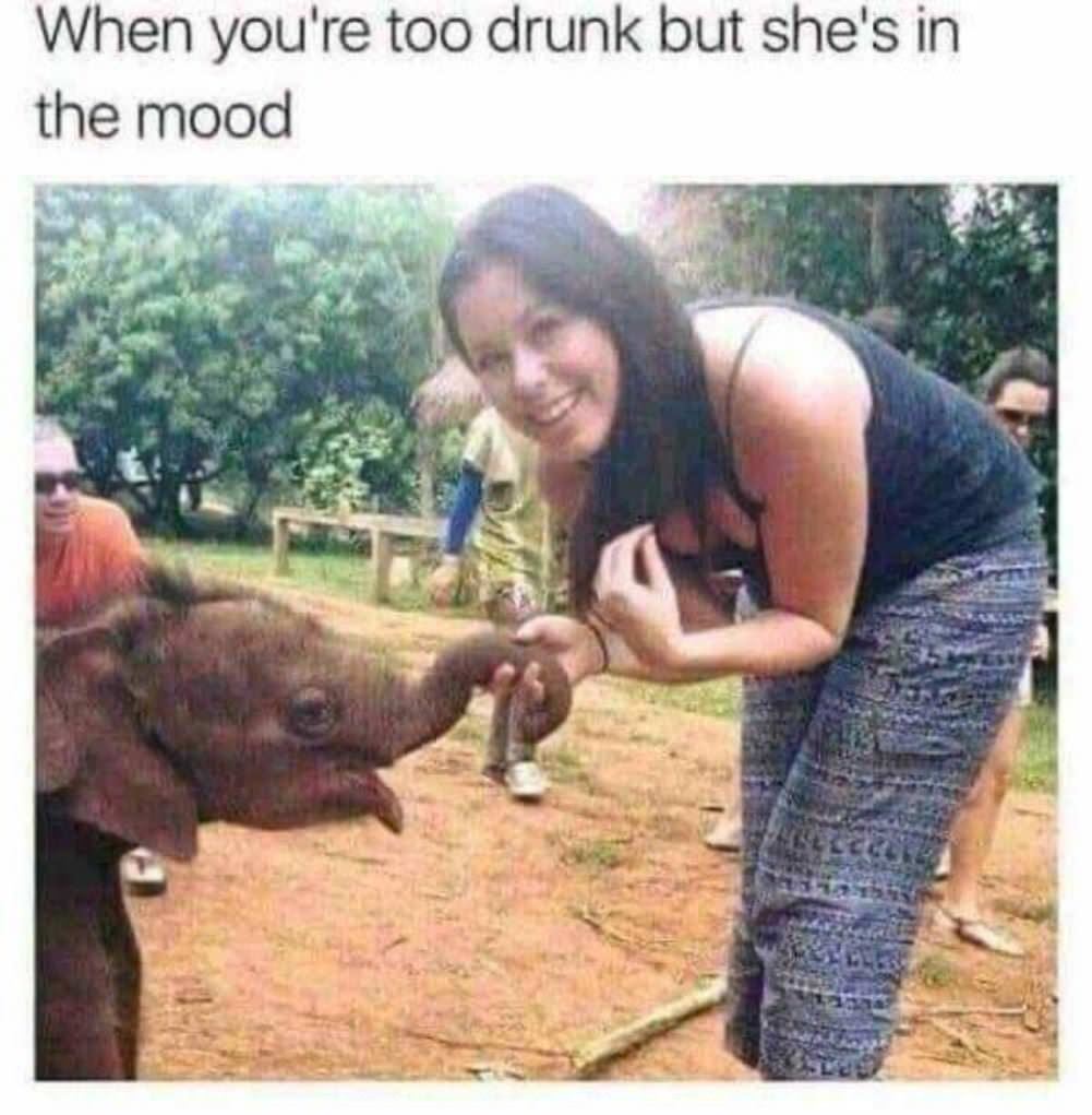 Too Drunk