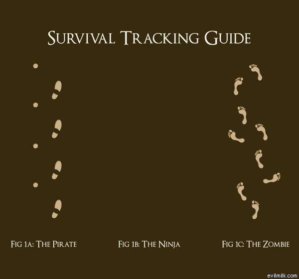 Tracking Guide