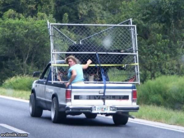 Transport
