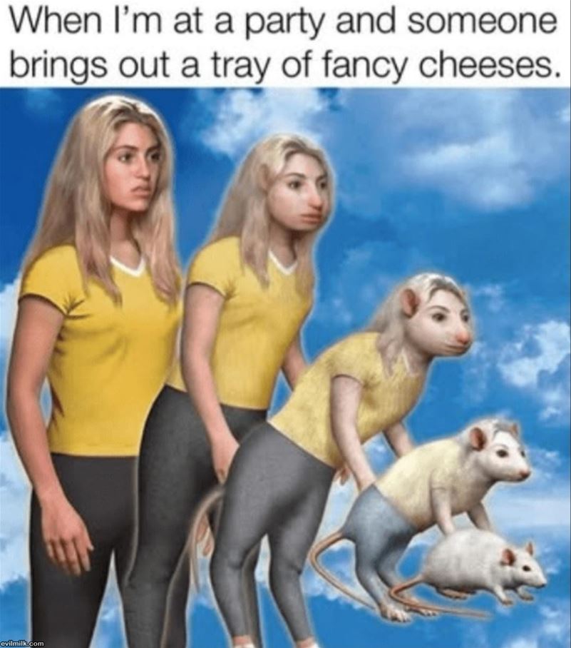 Tray