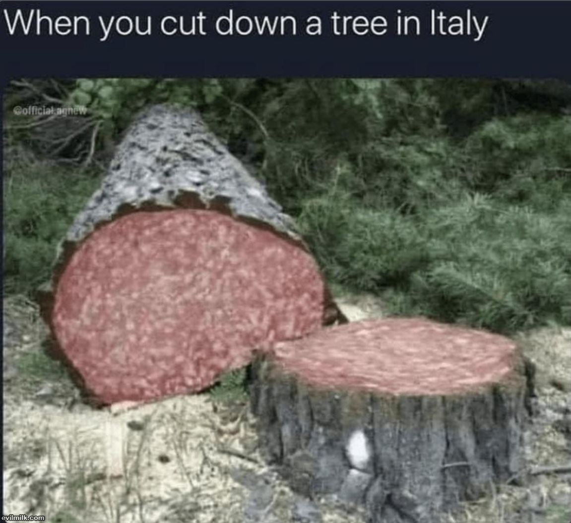 Trees In Italy