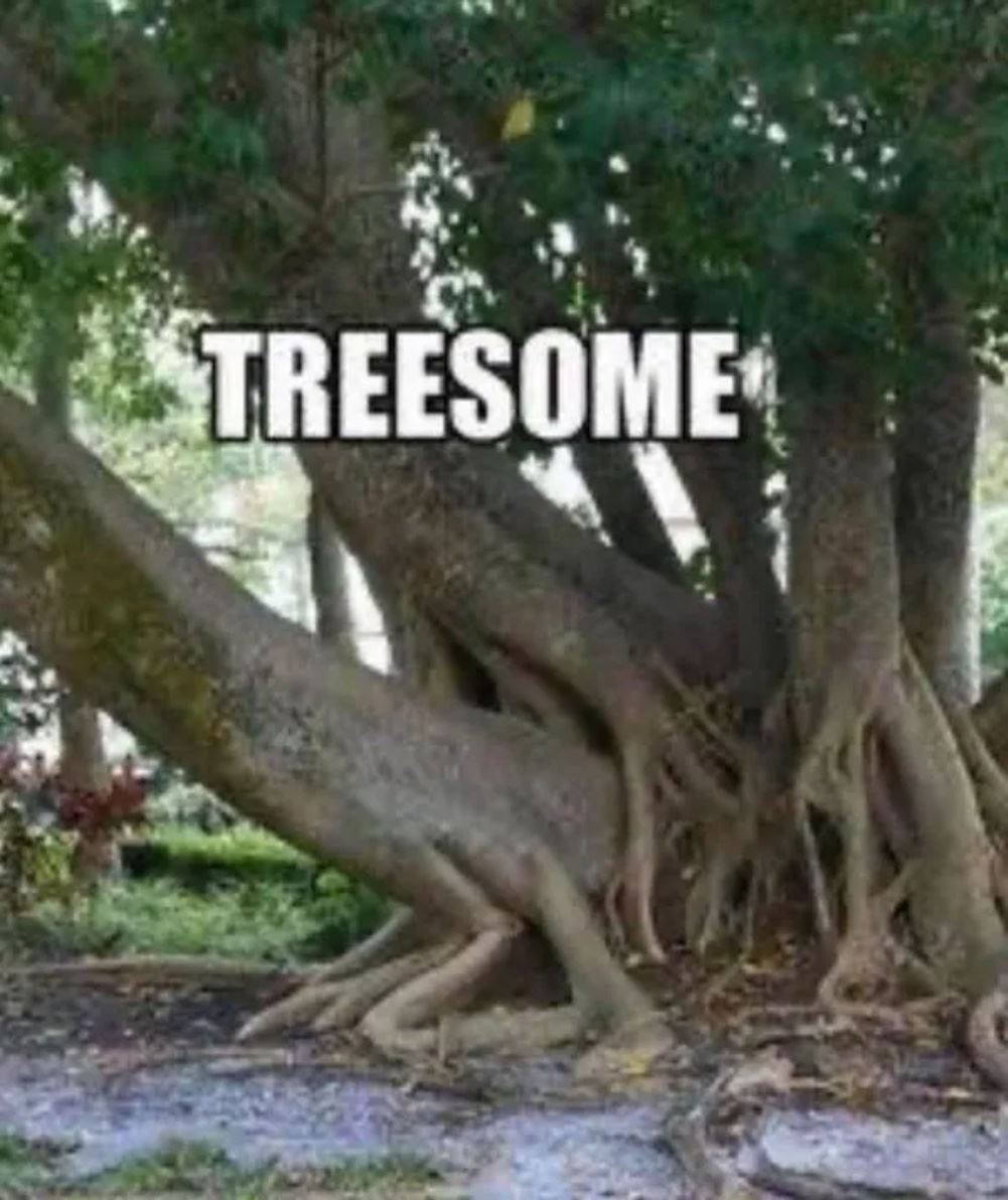 Treesom