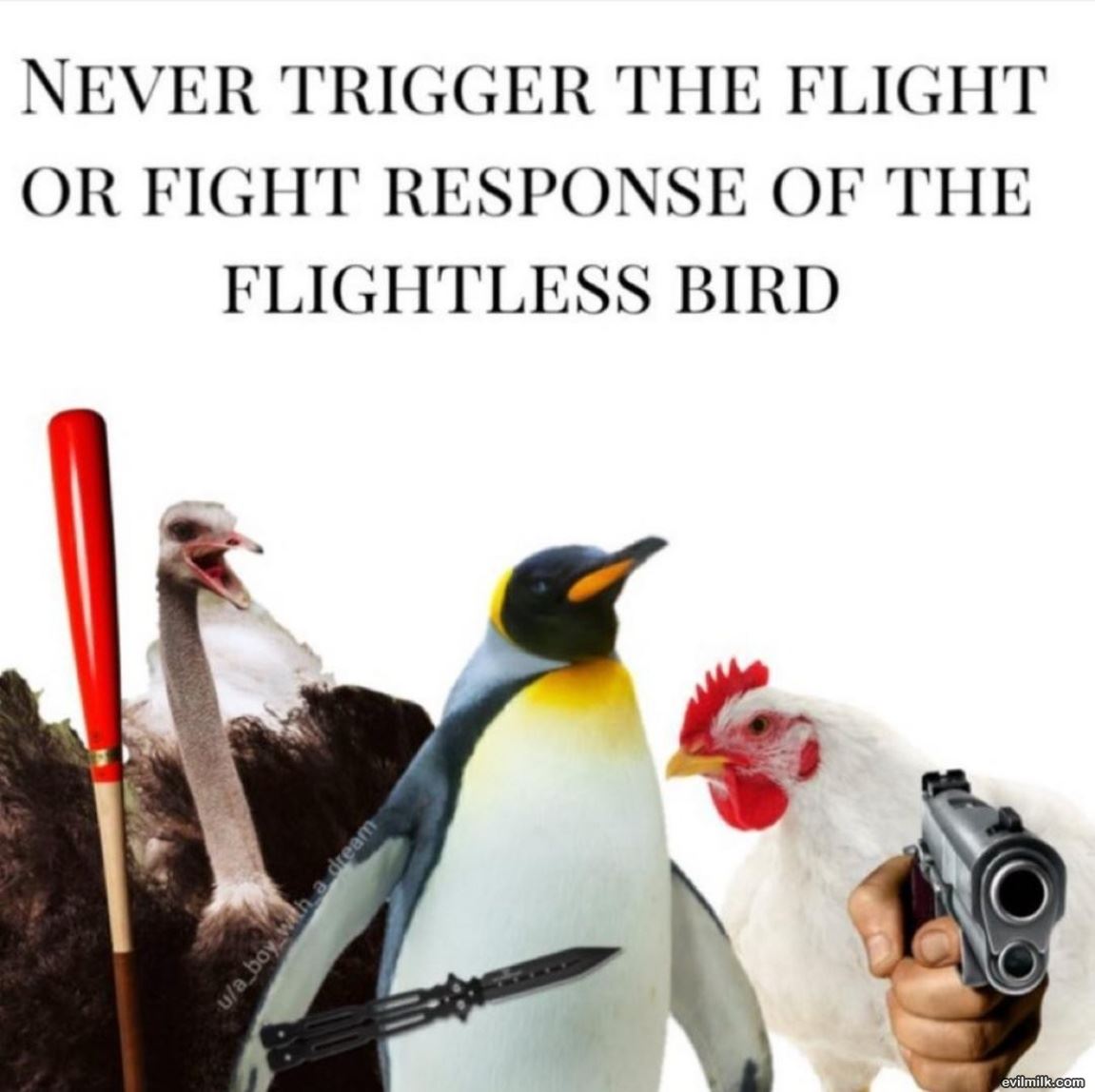 Triggered