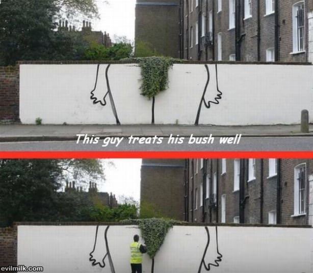 Trims His Bush