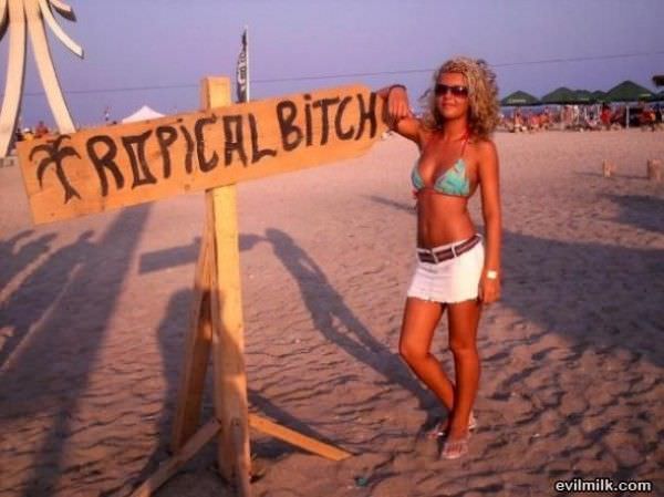 Tropical