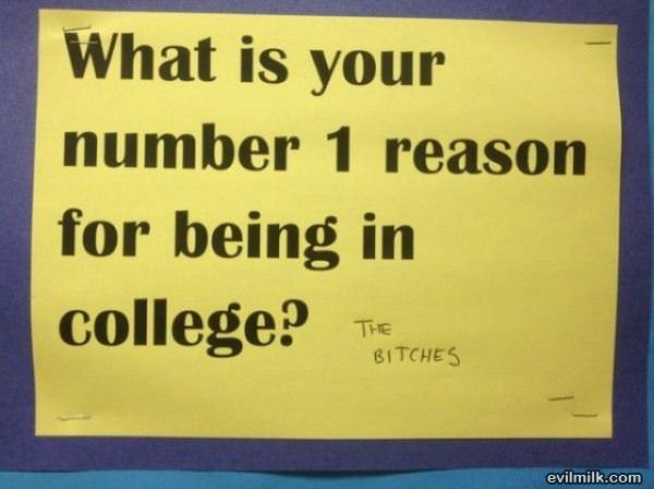True Story