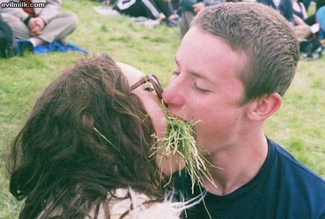 True Vegetarian Love