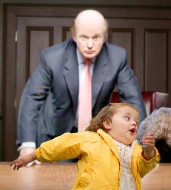 Trumps Hair