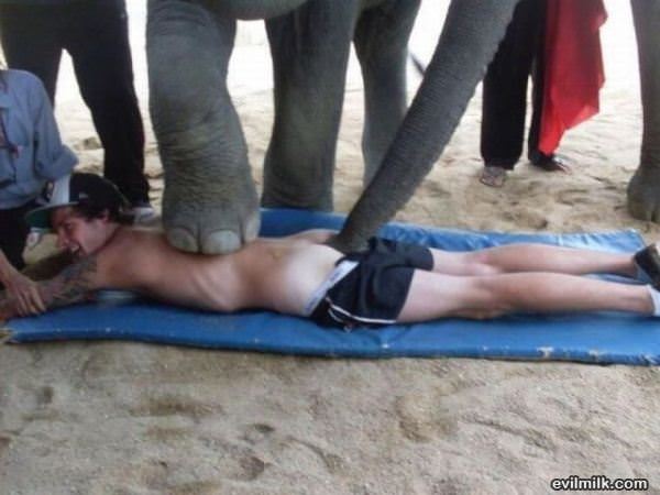 Trust Me Im A Doctor