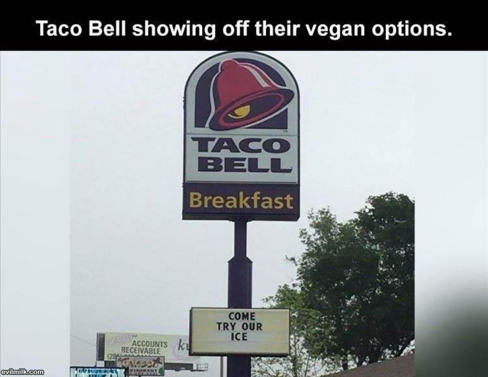 Try Our Vegan Options