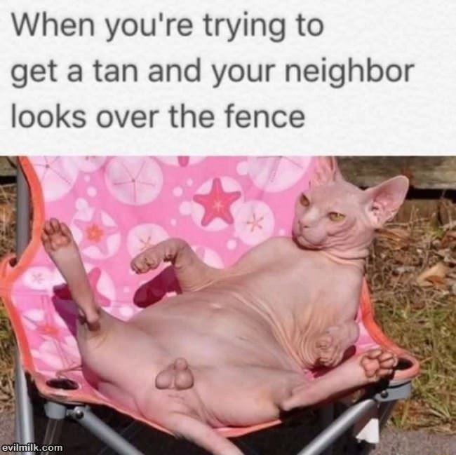 Trying To Get A Tan