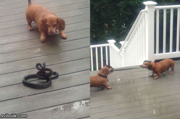 Tug Of War