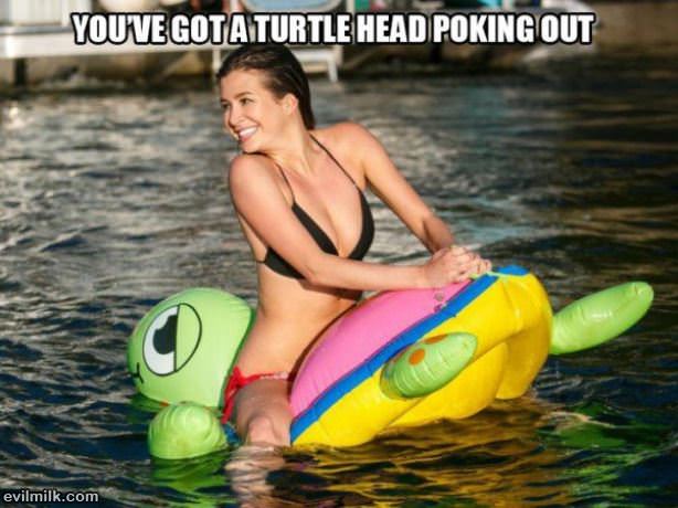 Turtle Head