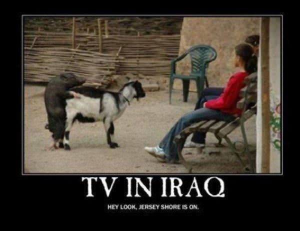 Tv In Iraq