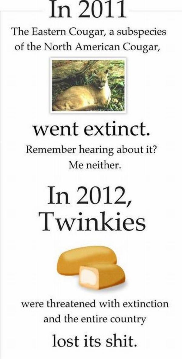 Twinkies