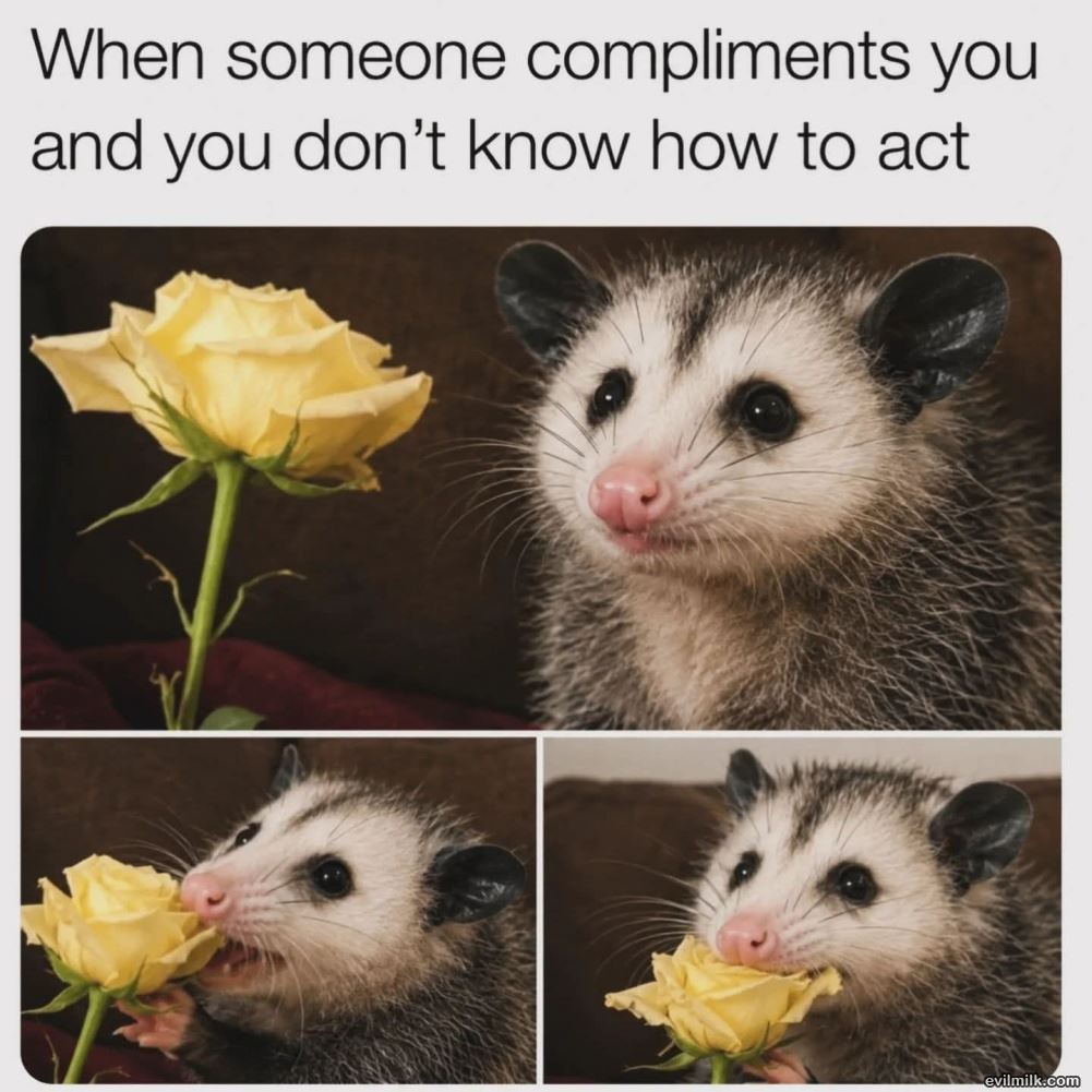 Uhhhhh Thanks I Guess