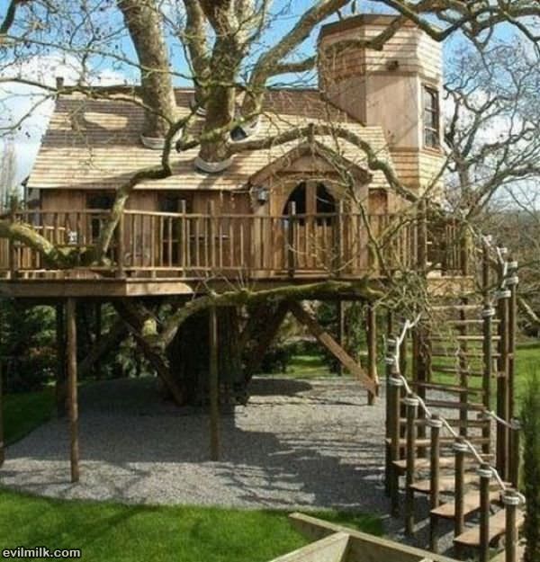 Ultimate Tree House