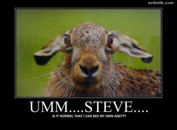 Umm Steve