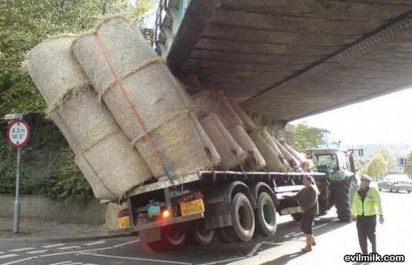 Under Estimated