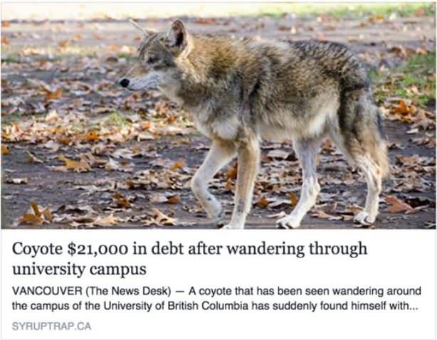 University Campus Debt