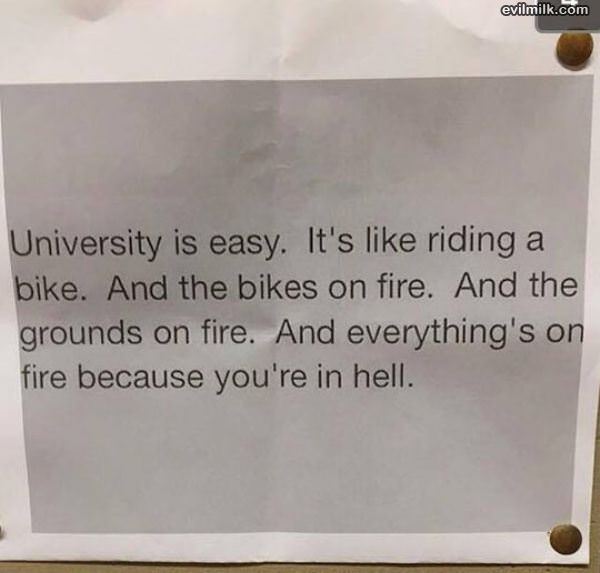 University Is Easy