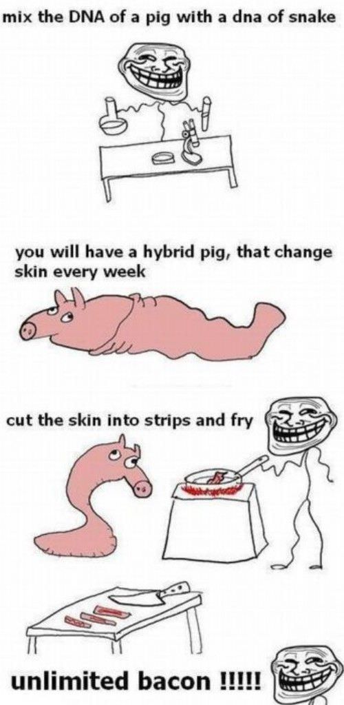 Unlimited Bacon
