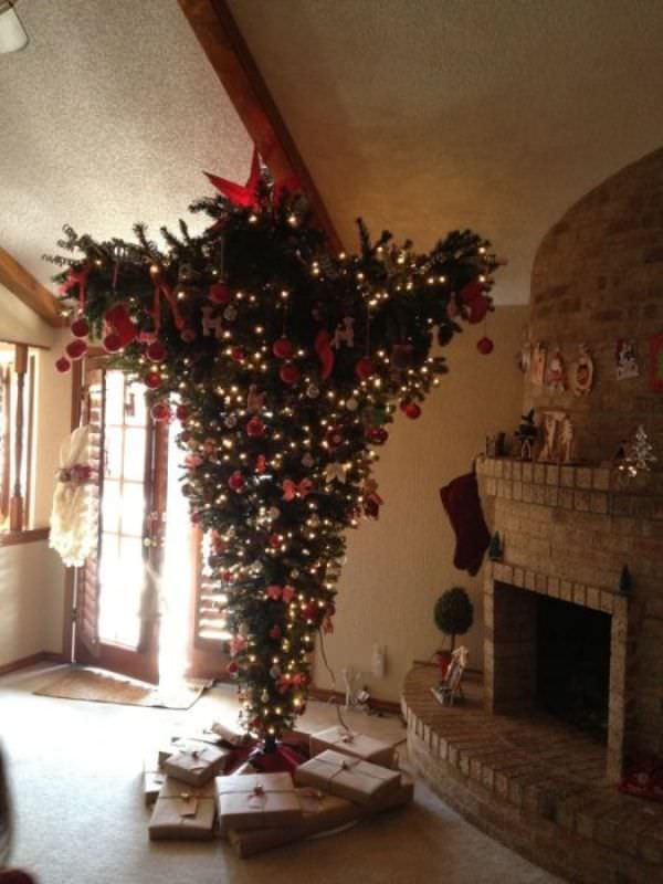 Upside Down Tree