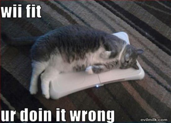 Ur Doing It Wrong Wii
