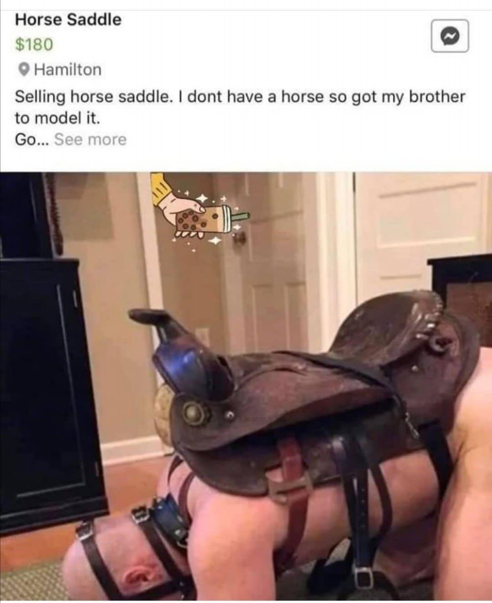 Used Horse Saddle