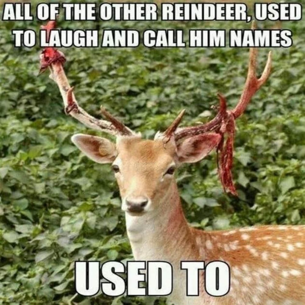 Used To