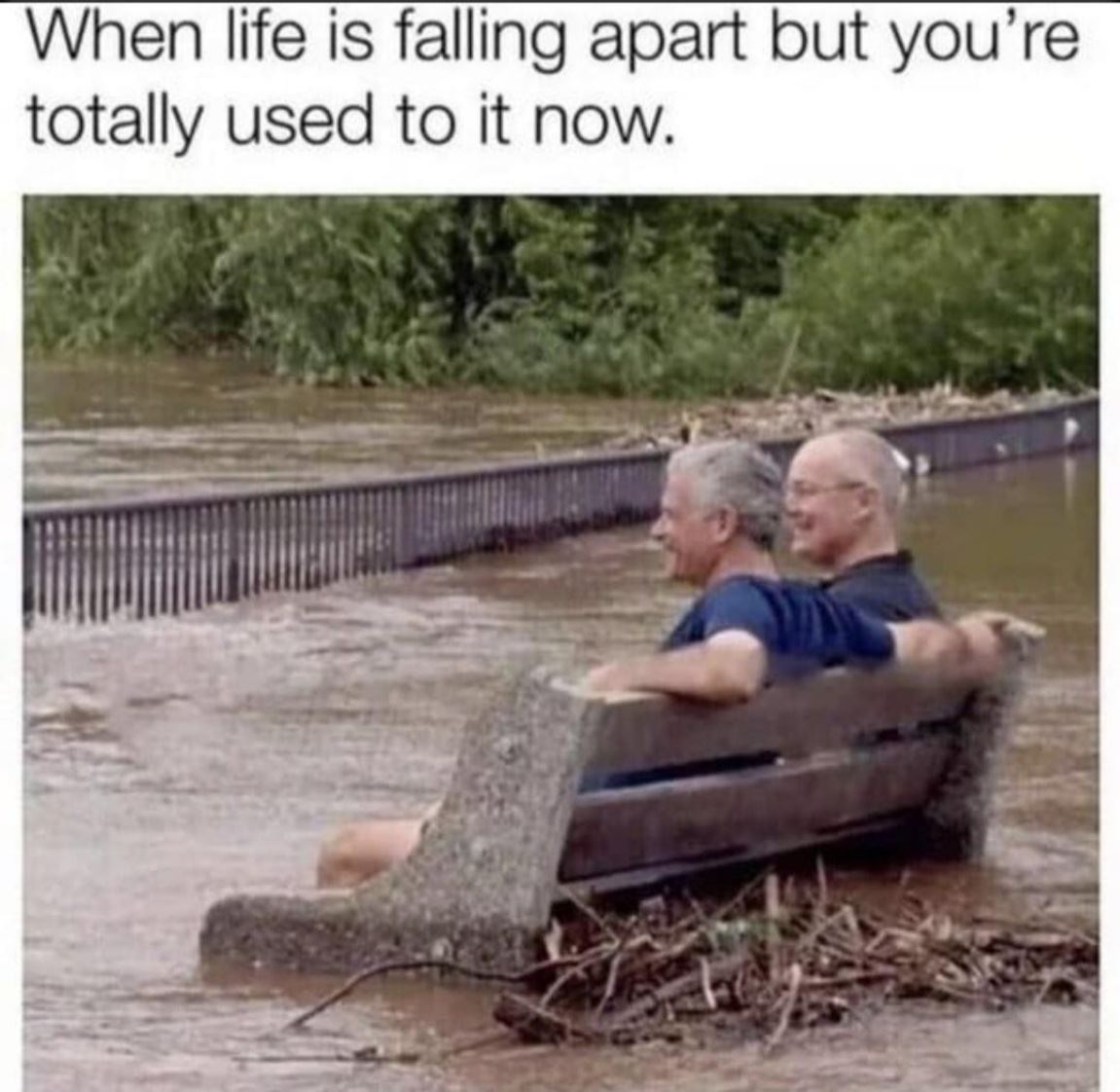 Used To It