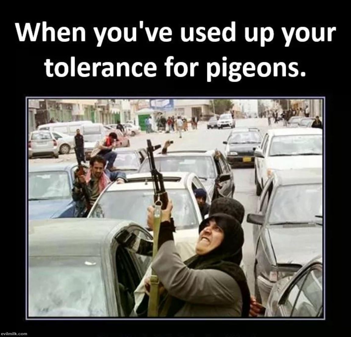 Used Up