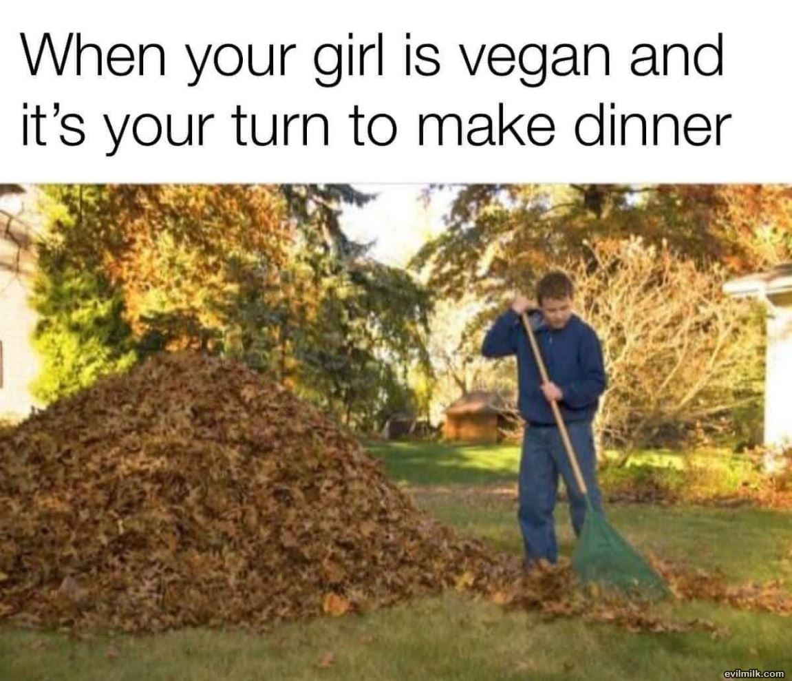 Vegan Time
