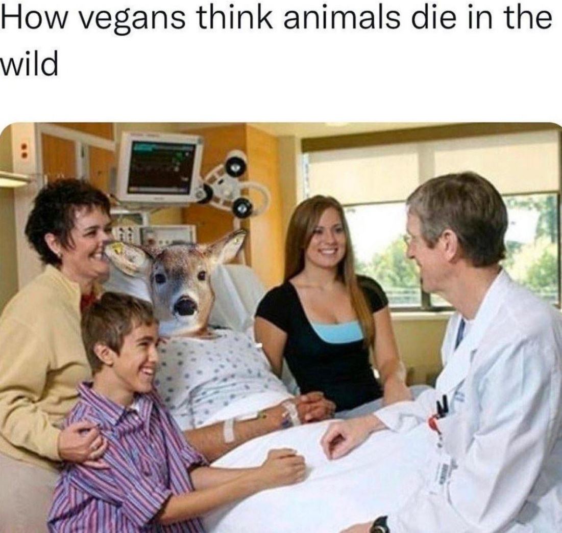 Vegans