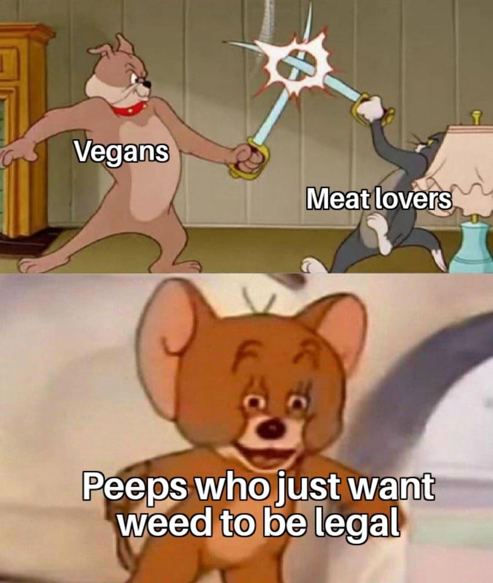 Vegans Vs Meat Eaters