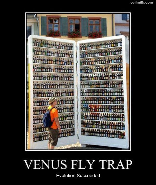 Venus Fly Trap