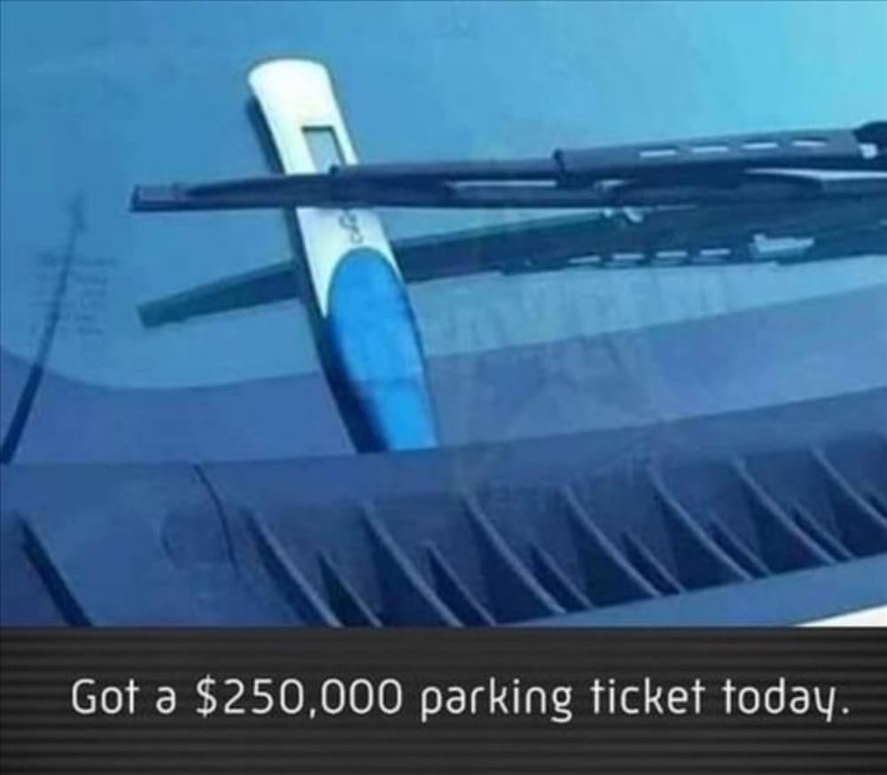 Very Expensive Parking Ticket