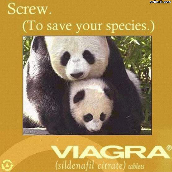 Viagra Ad