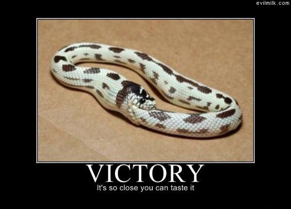 Victory