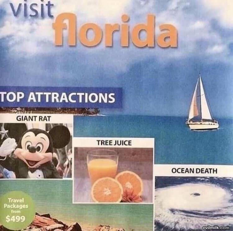 Visit Florida