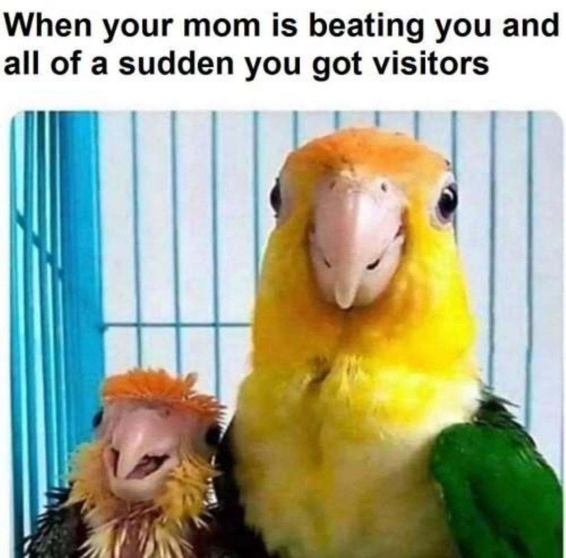 Visitors