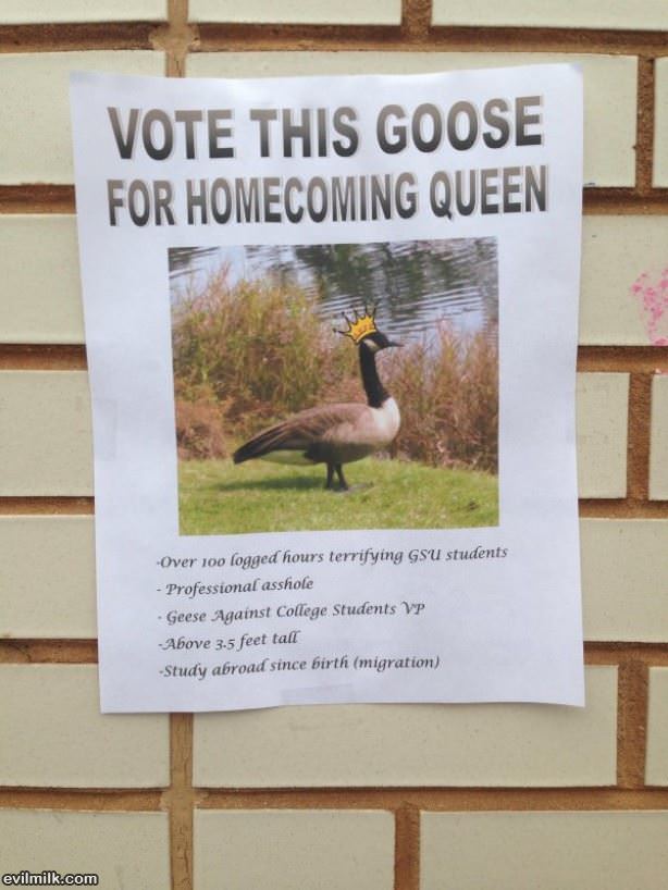 Vote This Goose