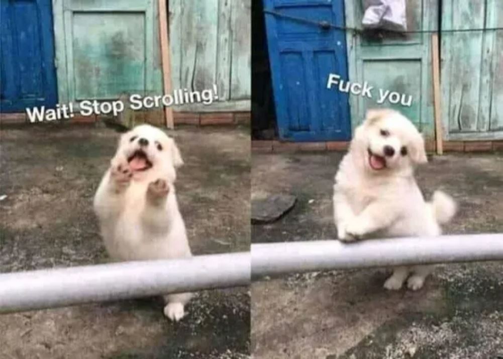 Wait Stop