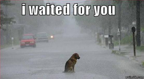 Waited For You