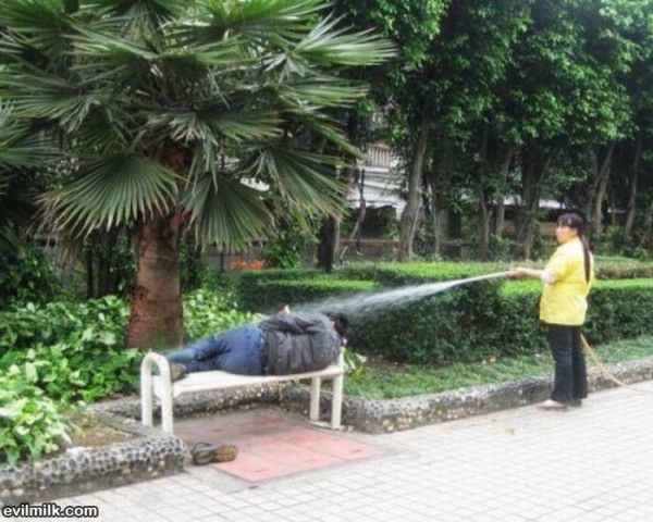 Wake Up