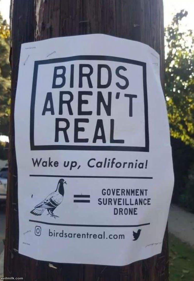 Wake Up