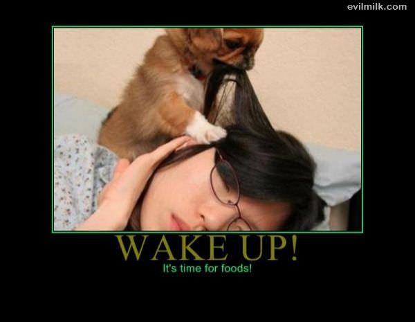 Wake Up Now