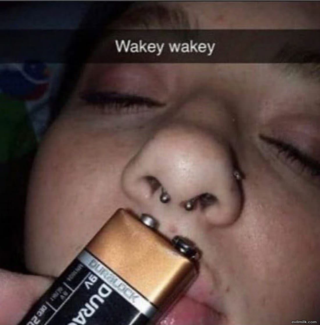 Wakey Wakey