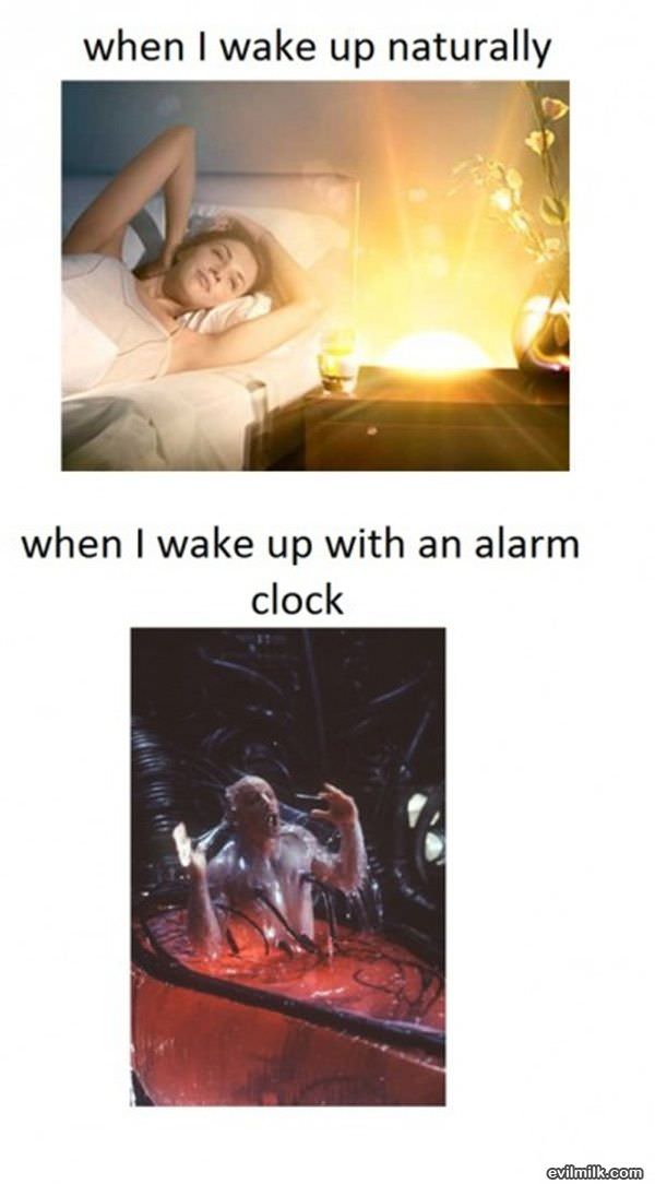 Waking Up